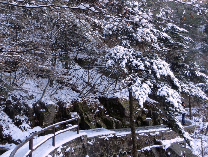 十二月二十一日庐山观雪景（花径、断桥、仙、毛住处） 054.jpg