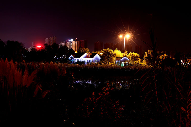 植物园 夜色6.jpg