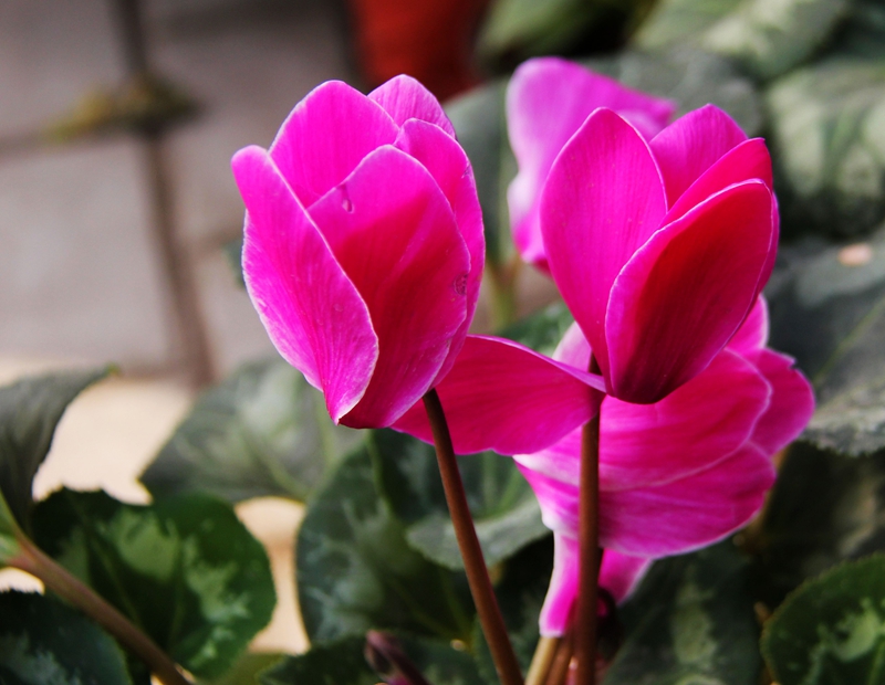 照片 543.jpg