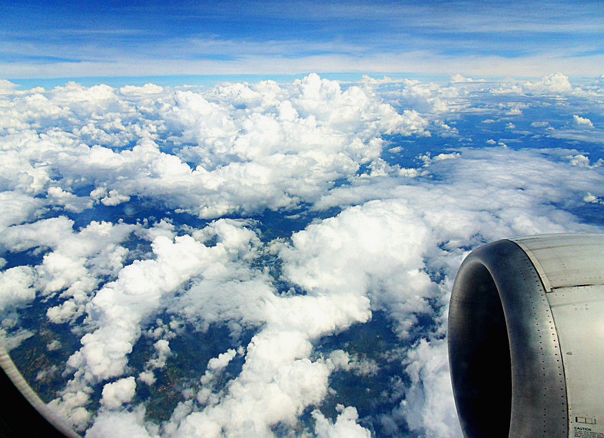 SDC12481_副本.JPG
