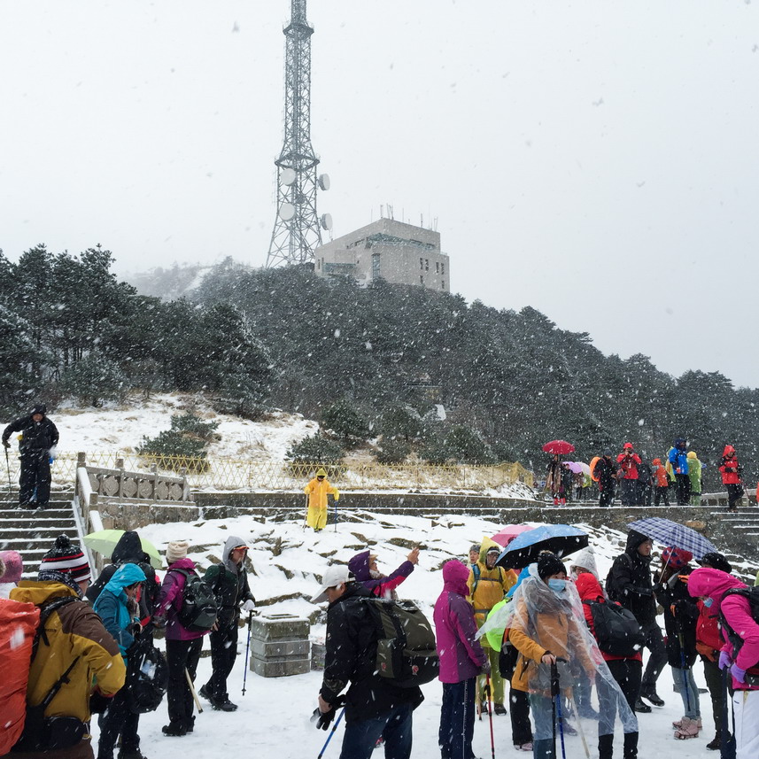 雪中乐.jpg