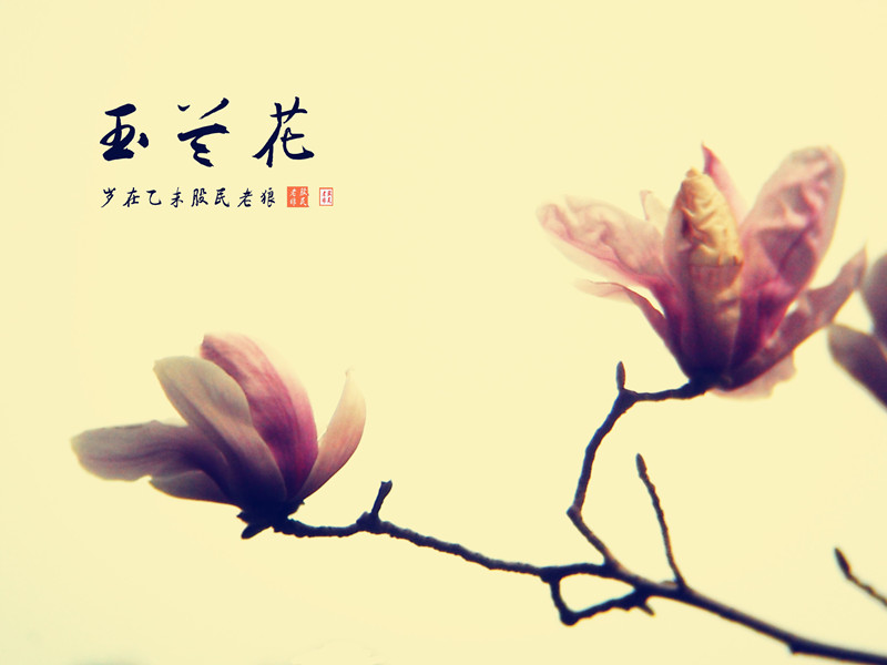 IMG_3267_HZP_副本_副本.jpg