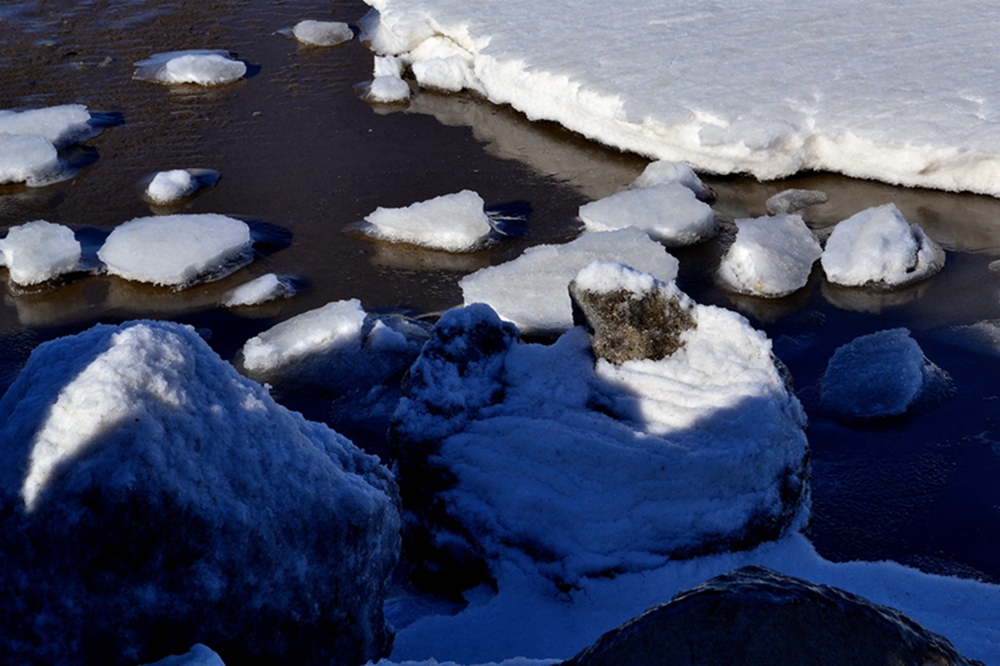 DSC_8109.jpg