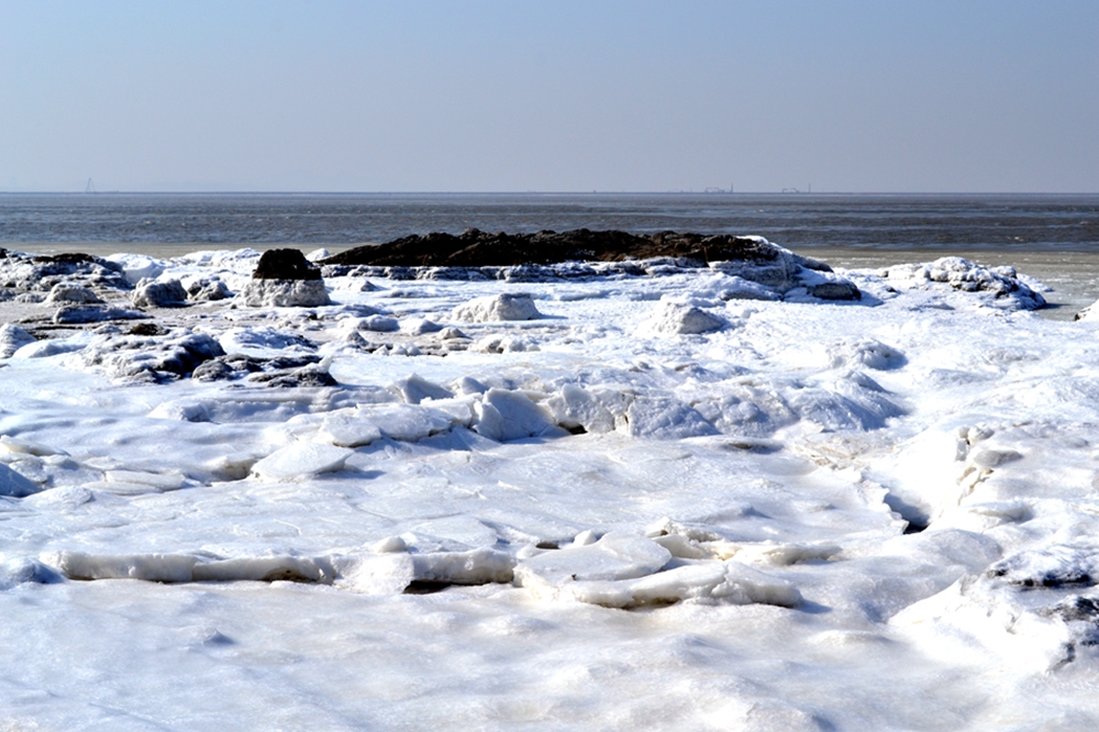 DSC_8317.jpg