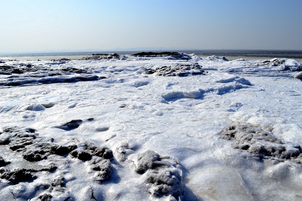 DSC_8327.jpg