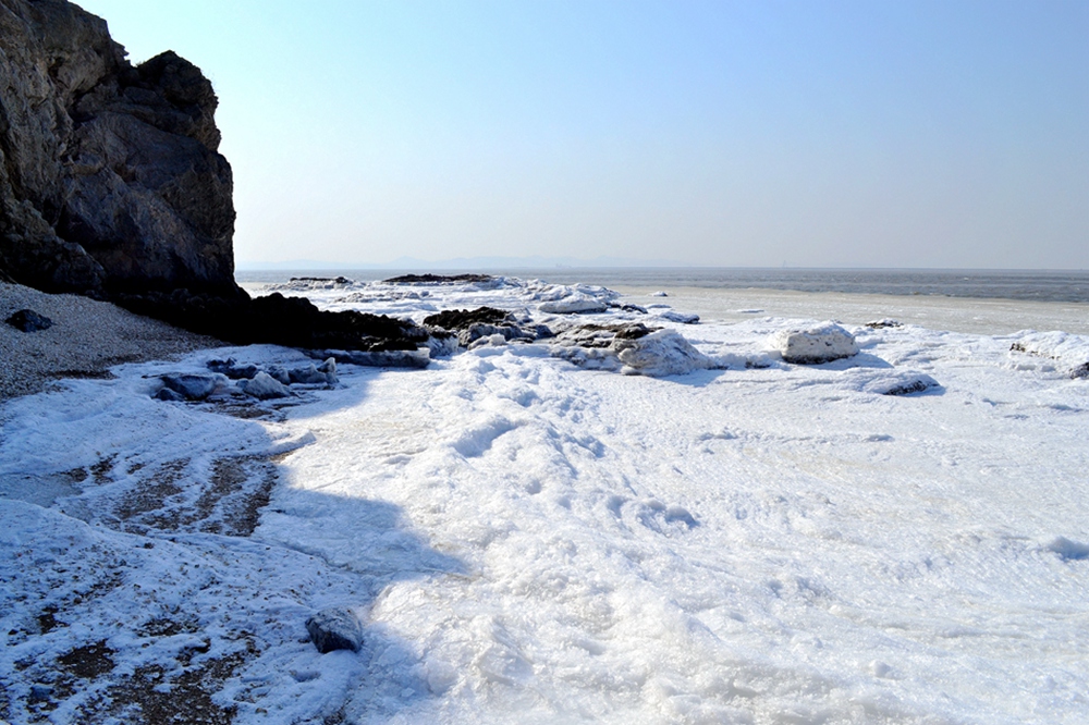 DSC_8329.jpg