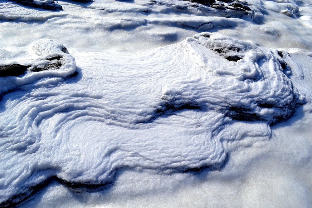 DSC_8325.jpg