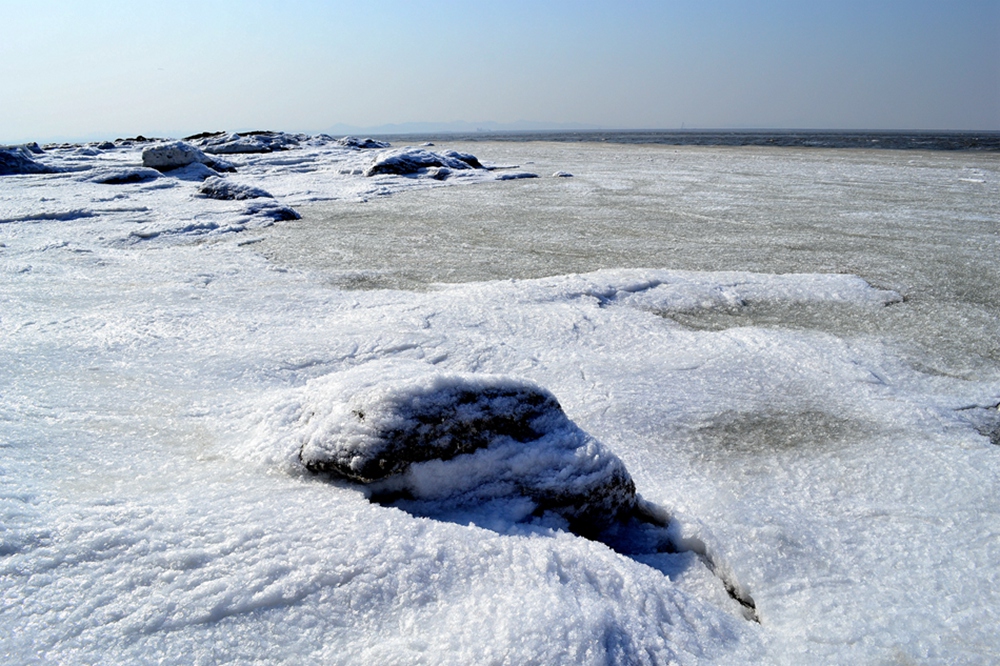 DSC_8330.jpg
