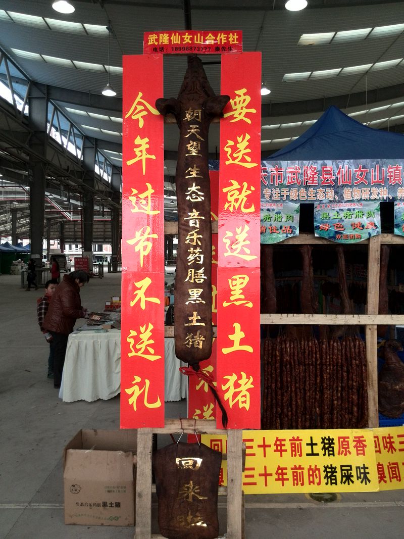 IMG_20150131_145226_BURST002_副本.jpg