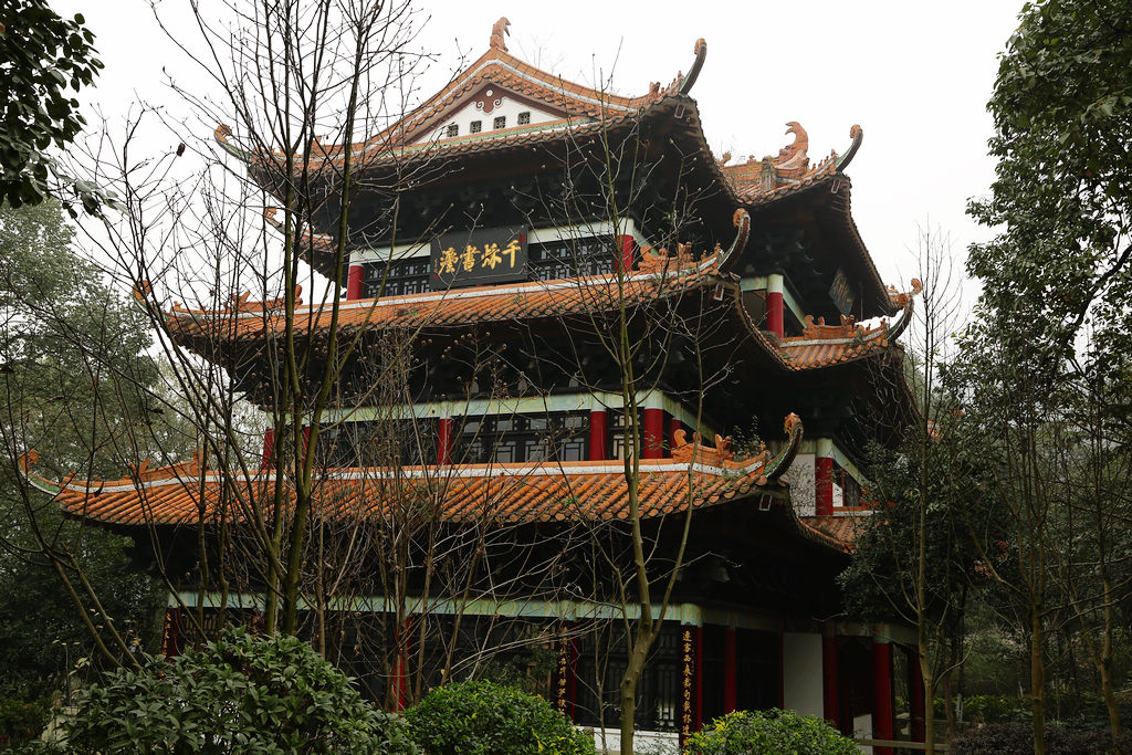 FU2A0085.JPG