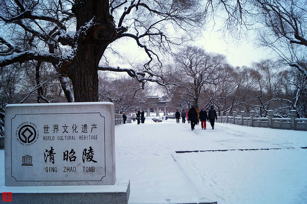 DSC03913『迎春雪』.jpg