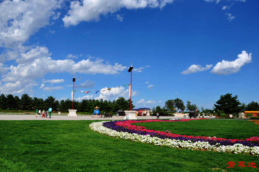 DSC_0028.jpg