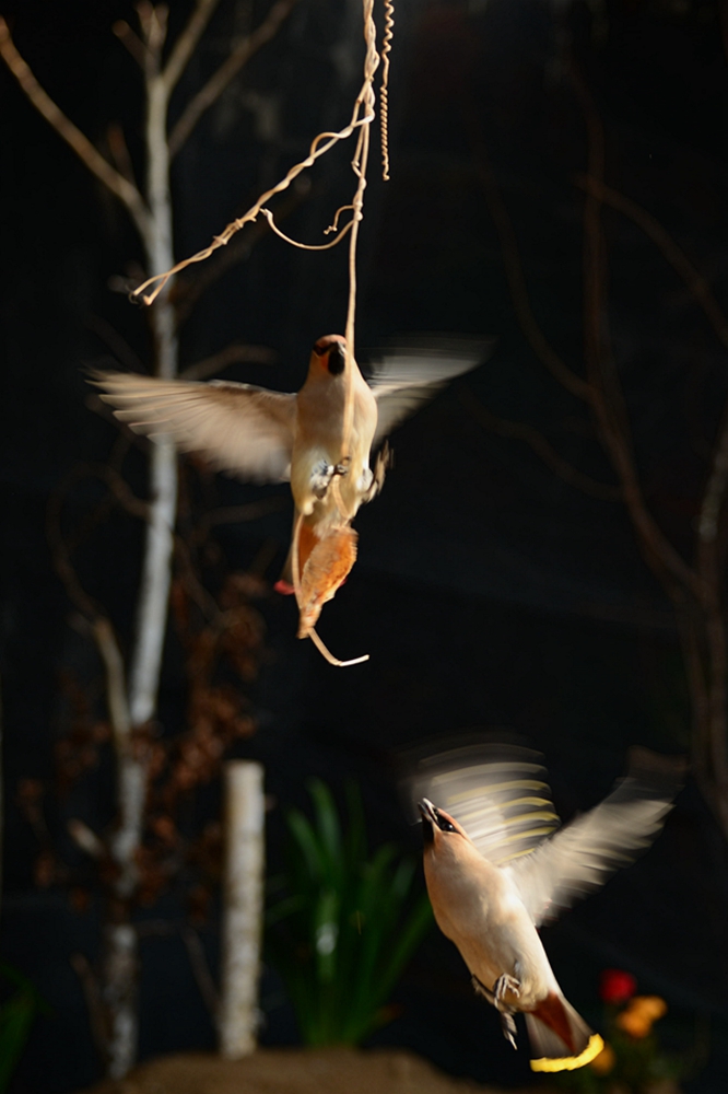 DSC_5843_副本.jpg