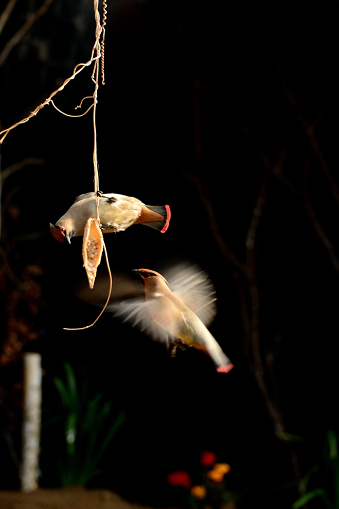 DSC_5844_副本.jpg