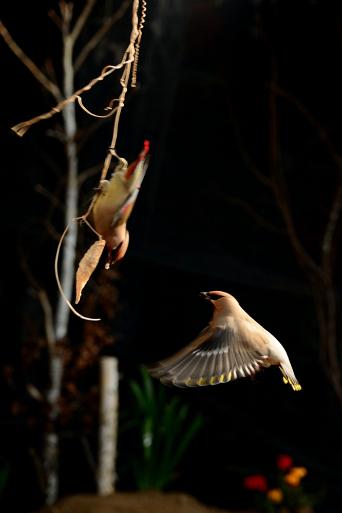 DSC_5848_副本.jpg