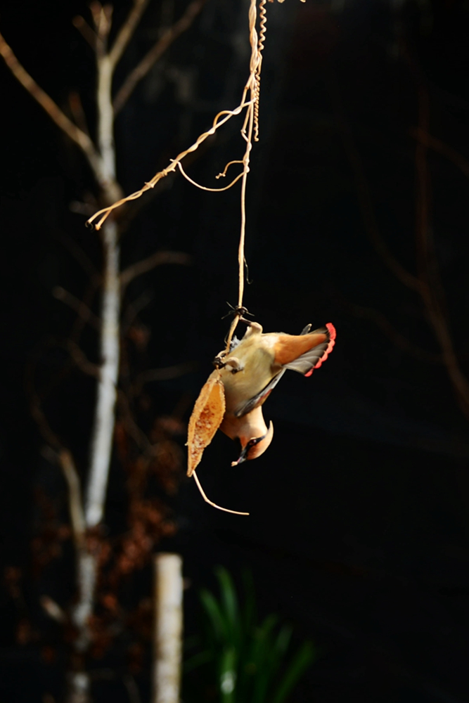 DSC_5855_副本.jpg