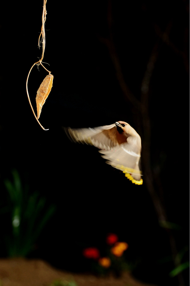 DSC_5910_副本.jpg