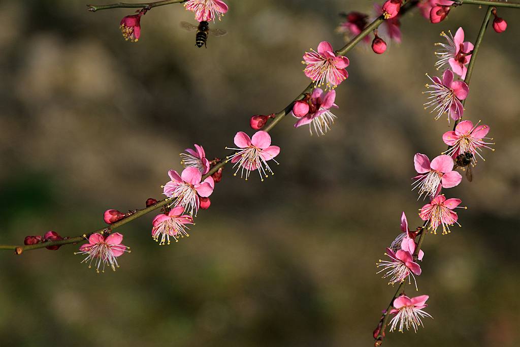 IMG_1206_副本.jpg