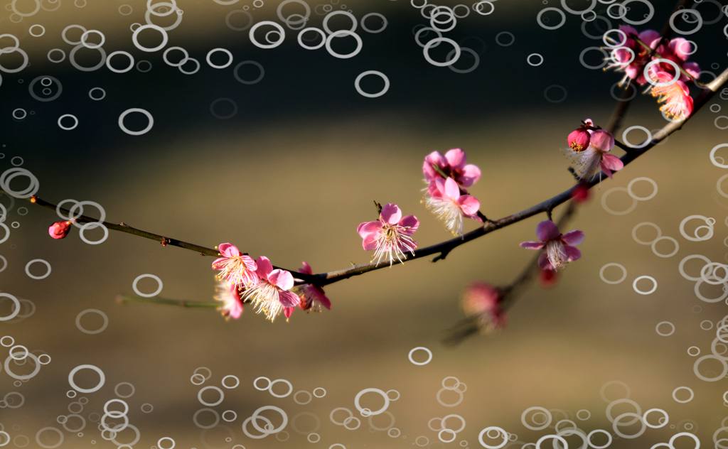 IMG_1635_副本.jpg