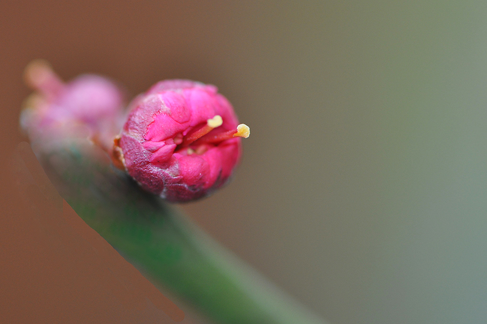 DSC_1047.jpg