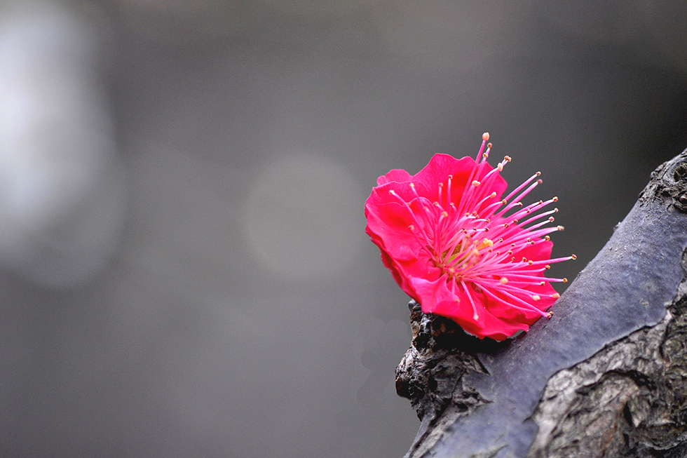 DSC_1111.jpg