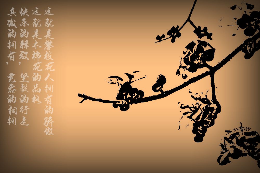 IMG_7651_副本_副本.jpg