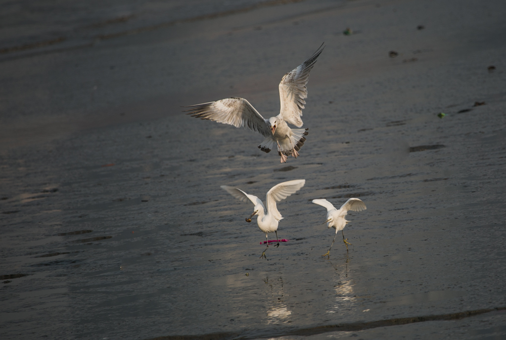 20150124-HG2A7449.jpg