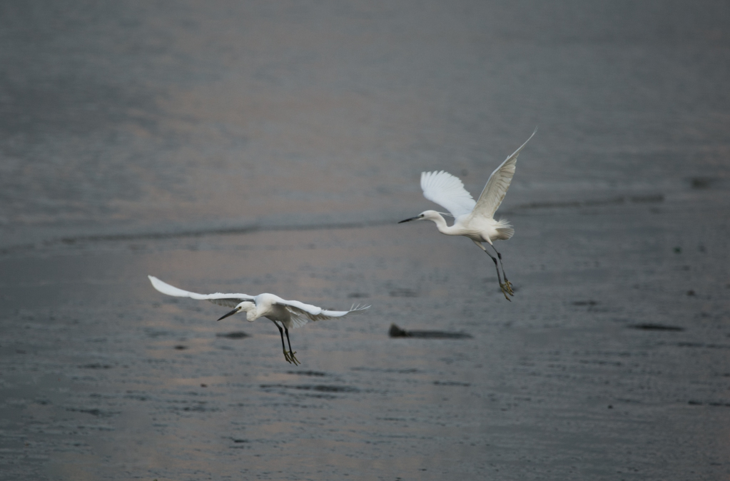20150124-HG2A6792.jpg