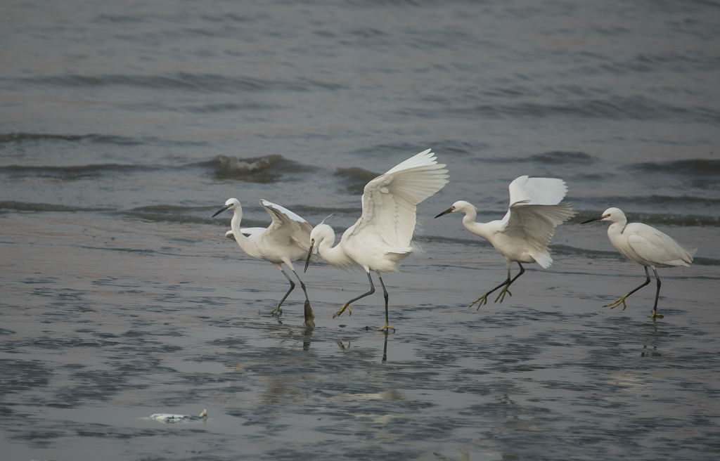 20150124-HG2A6967.jpg