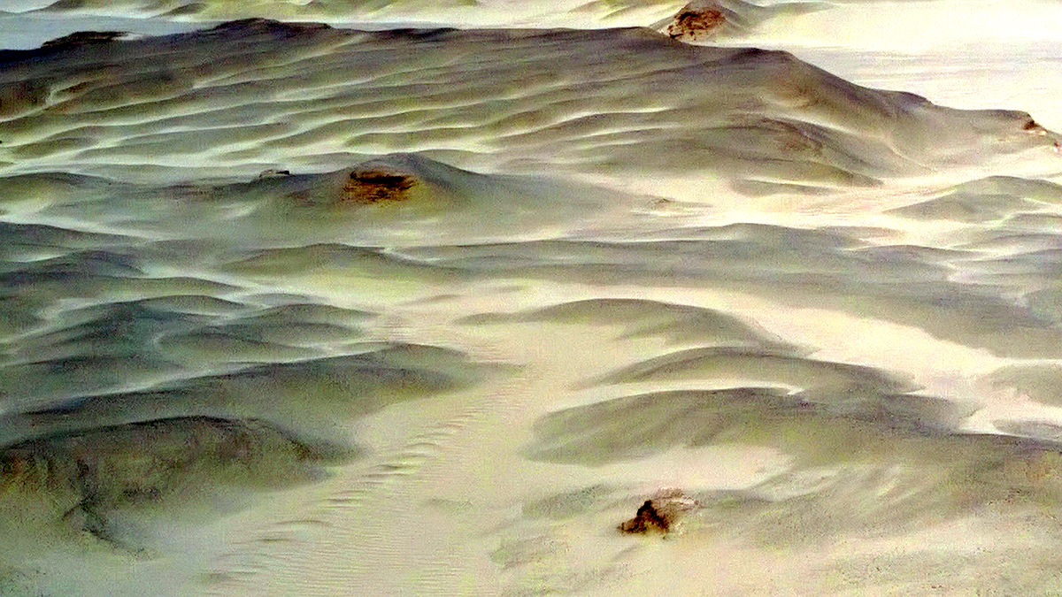 1-WP_20150204_004.jpg