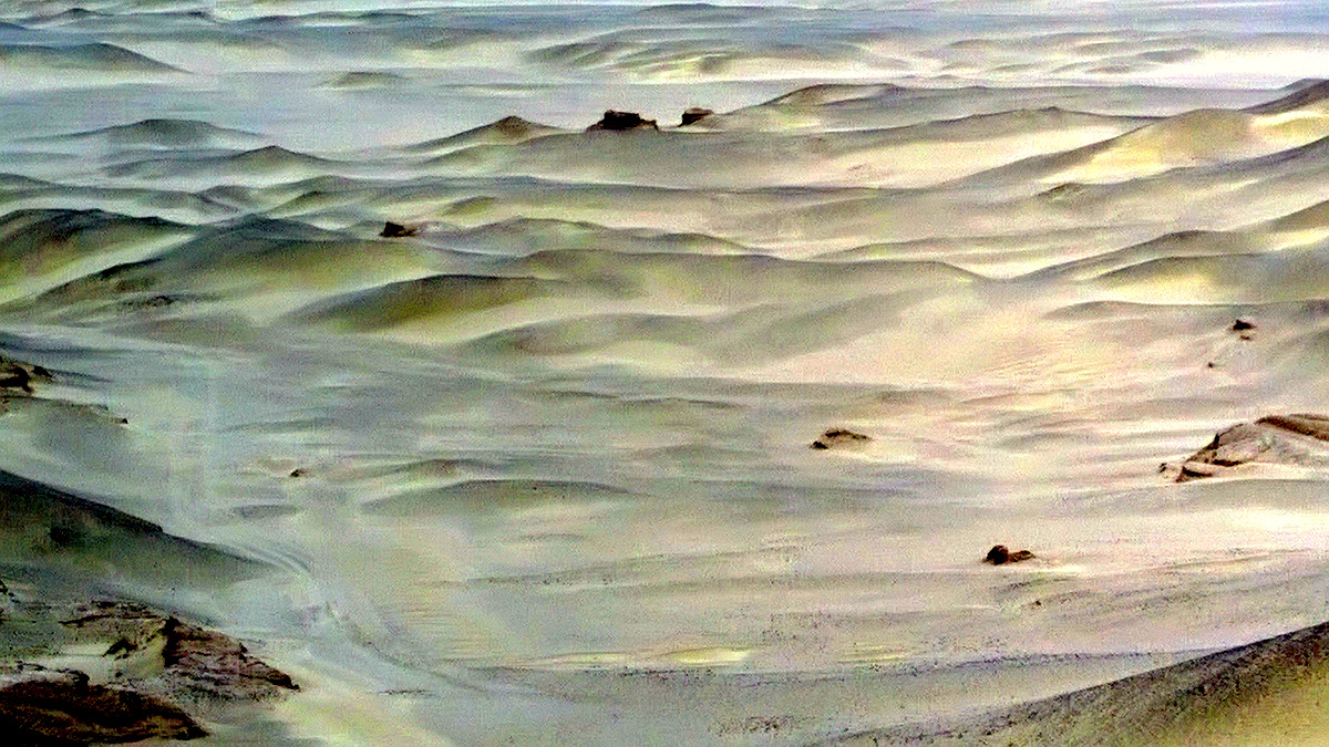 1-WP_20150204_005.jpg