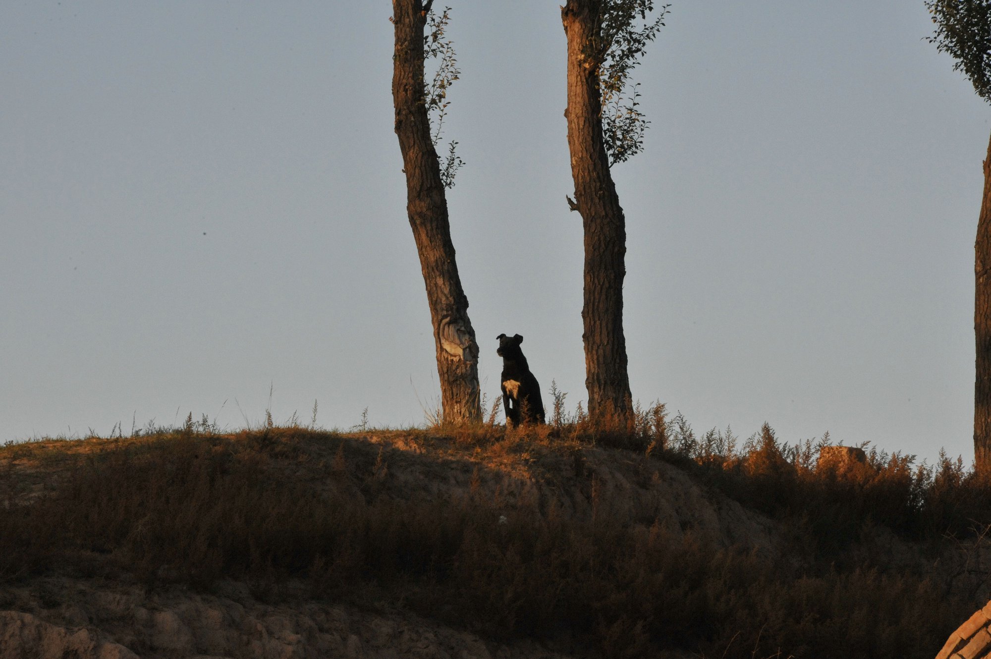 DSC_0958.JPG