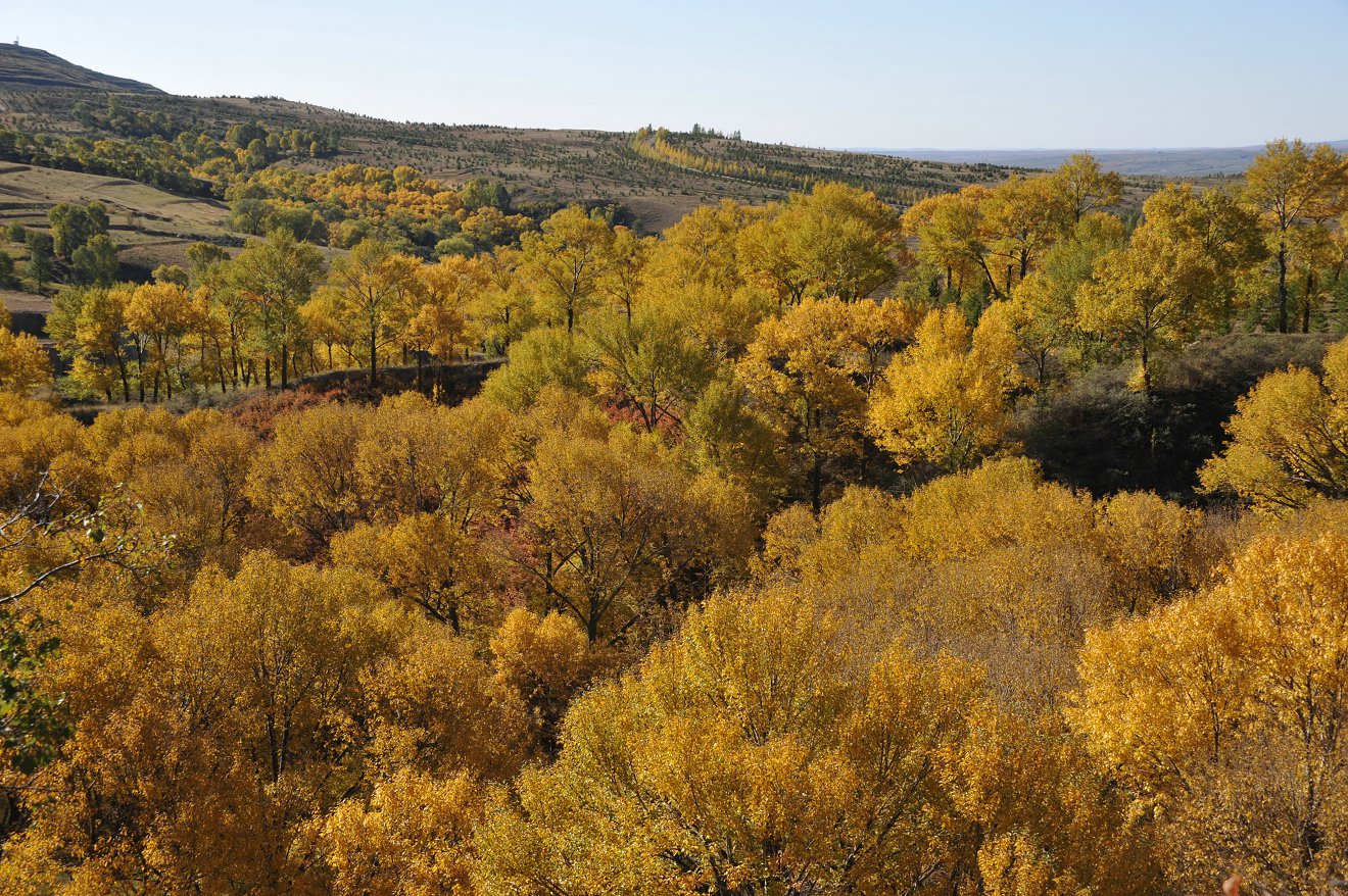 DSC_1126.JPG