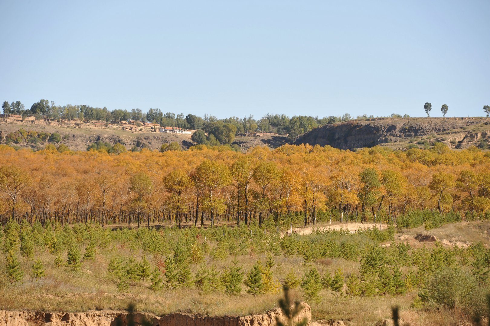 DSC_1180.JPG