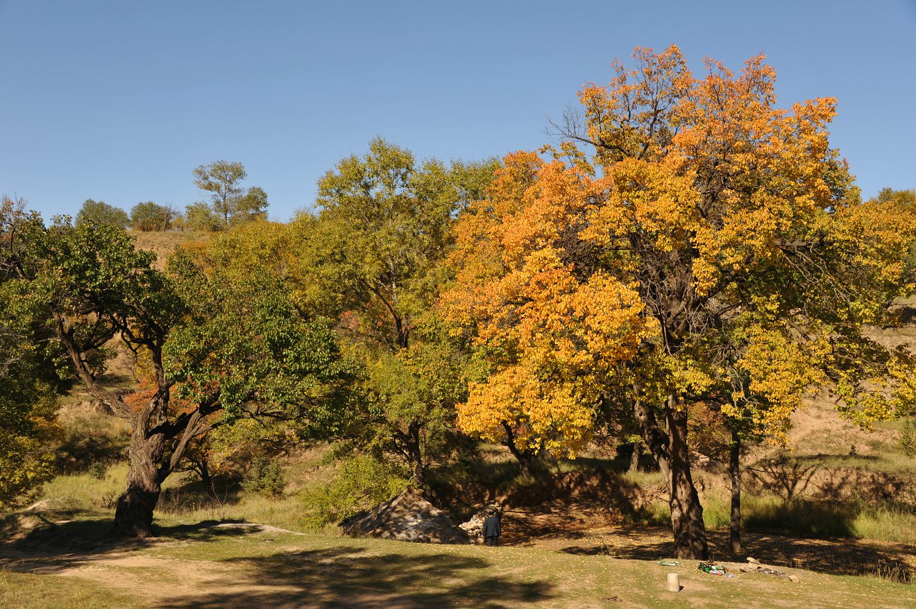 DSC_1196.JPG