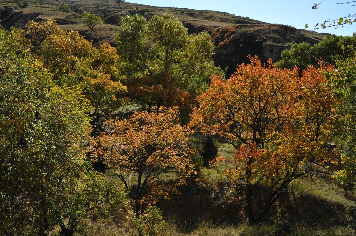 DSC_1244.JPG
