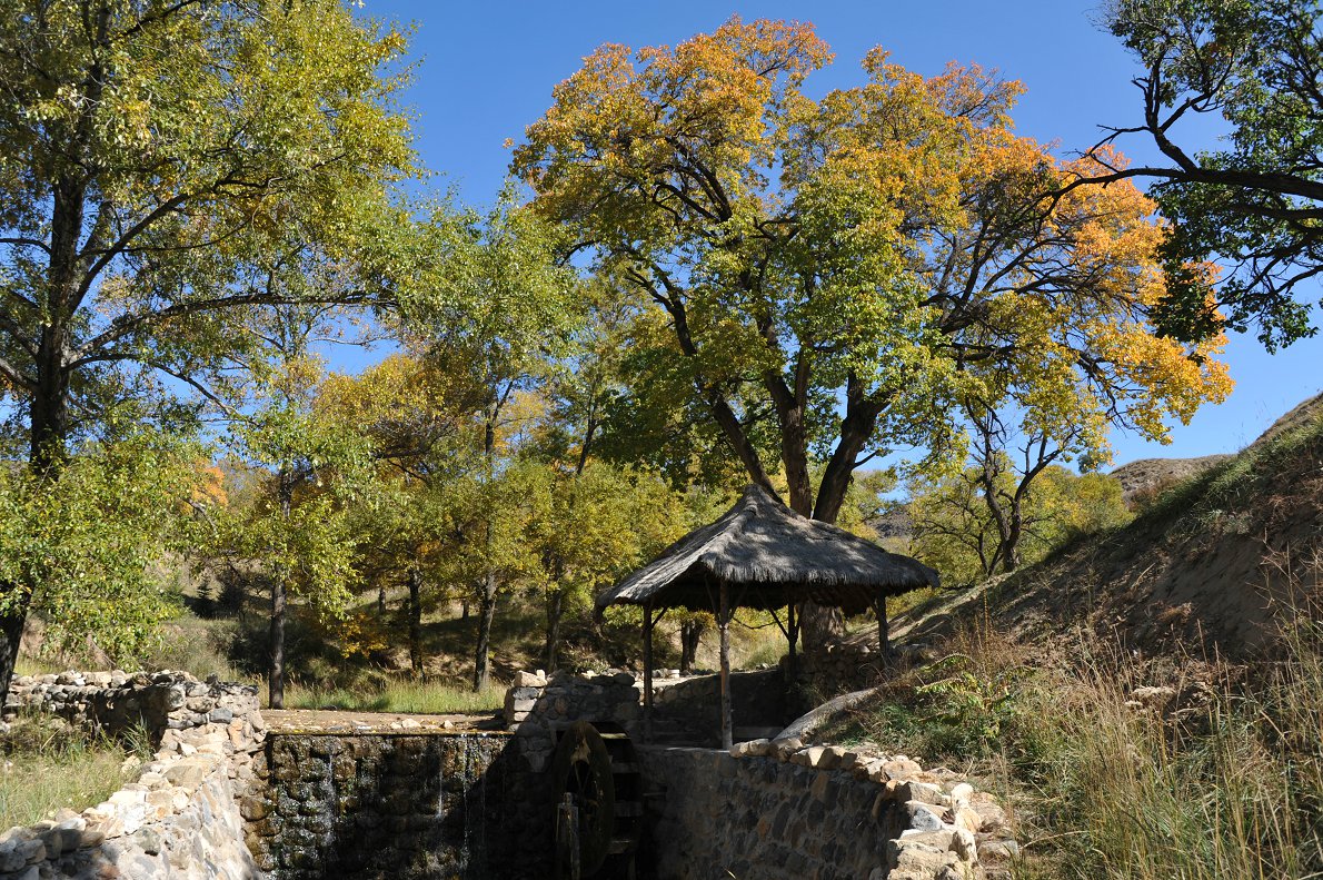 DSC_1264.JPG