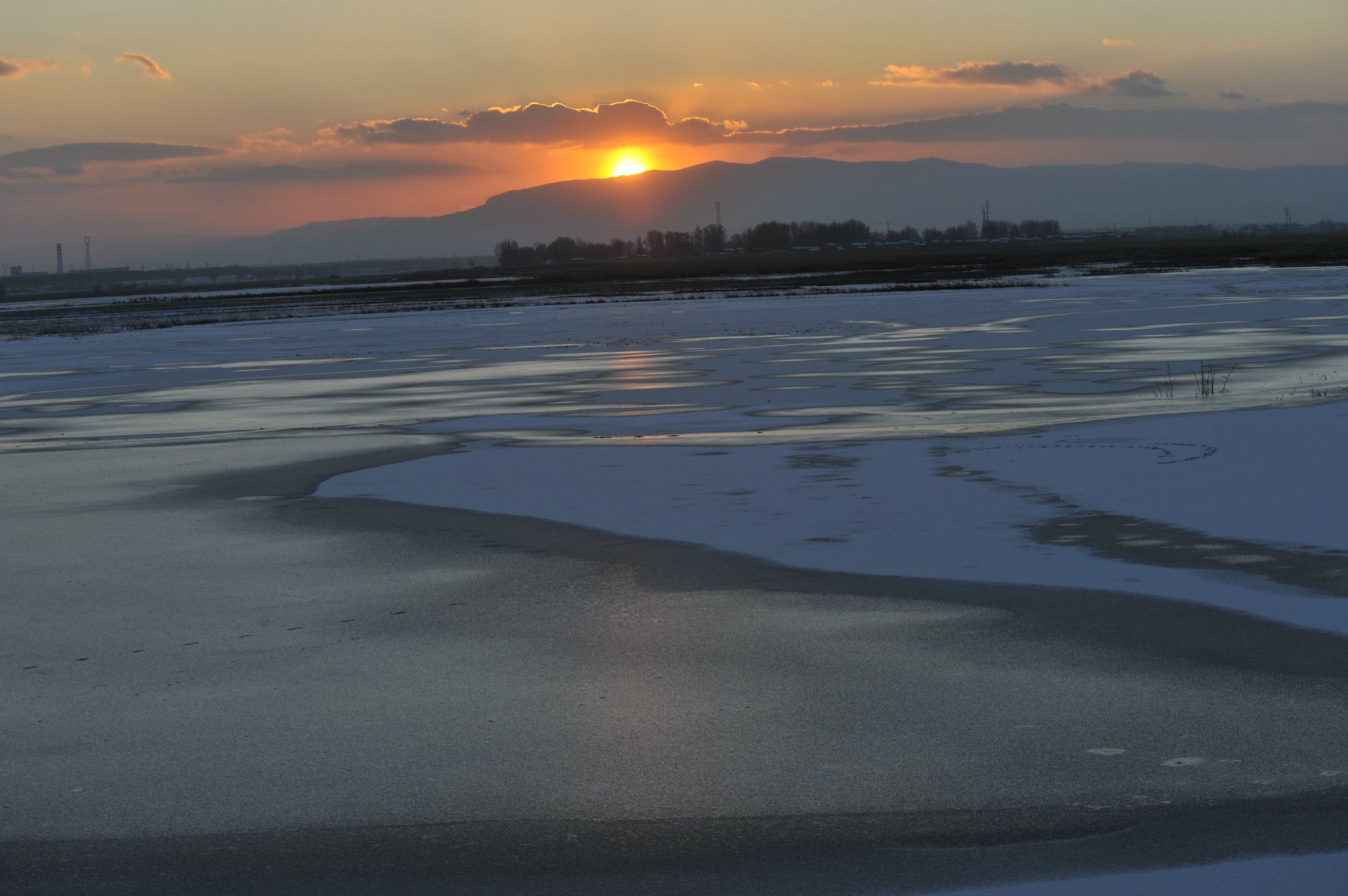 DSC_1532.JPG