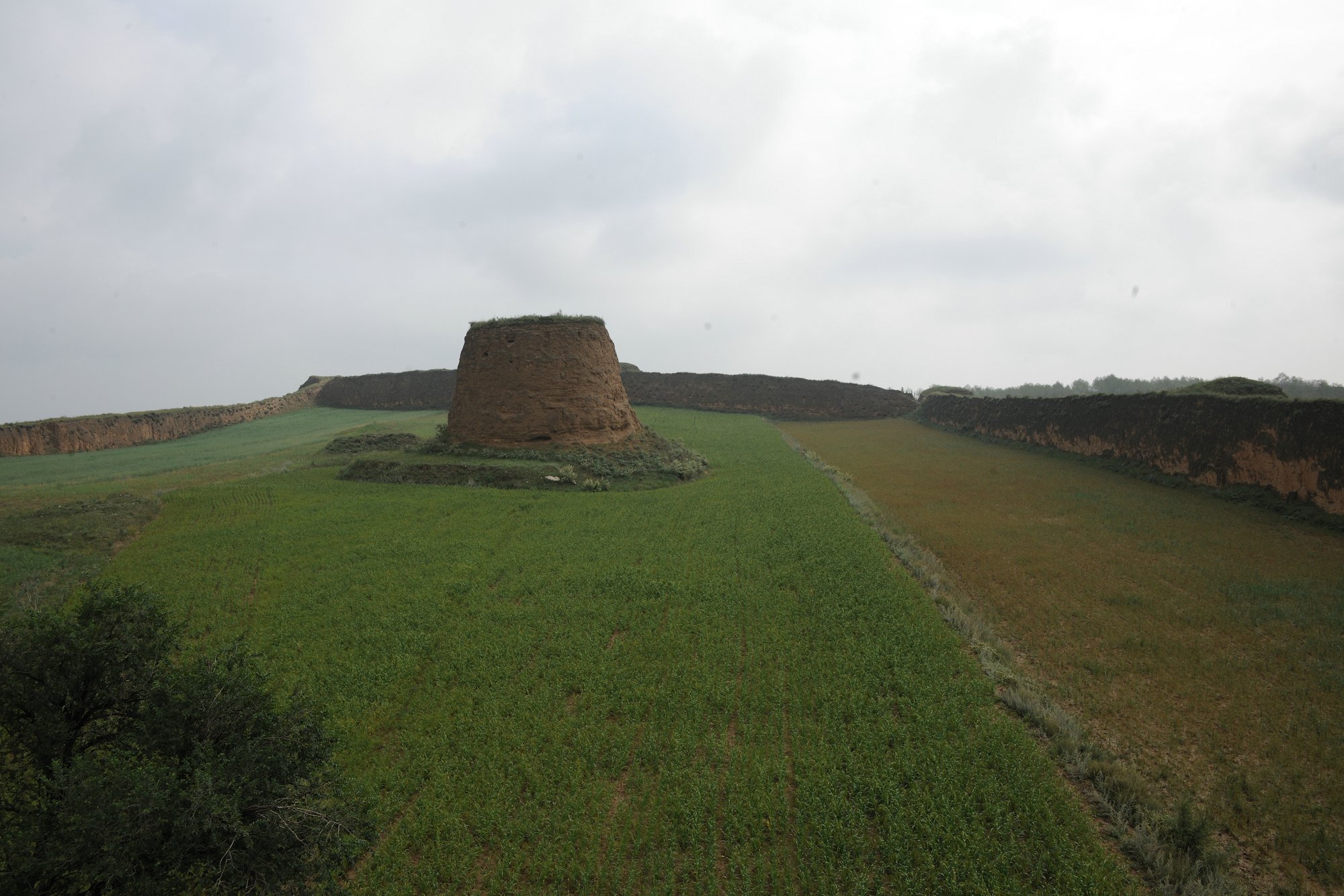 DSC_2933.JPG