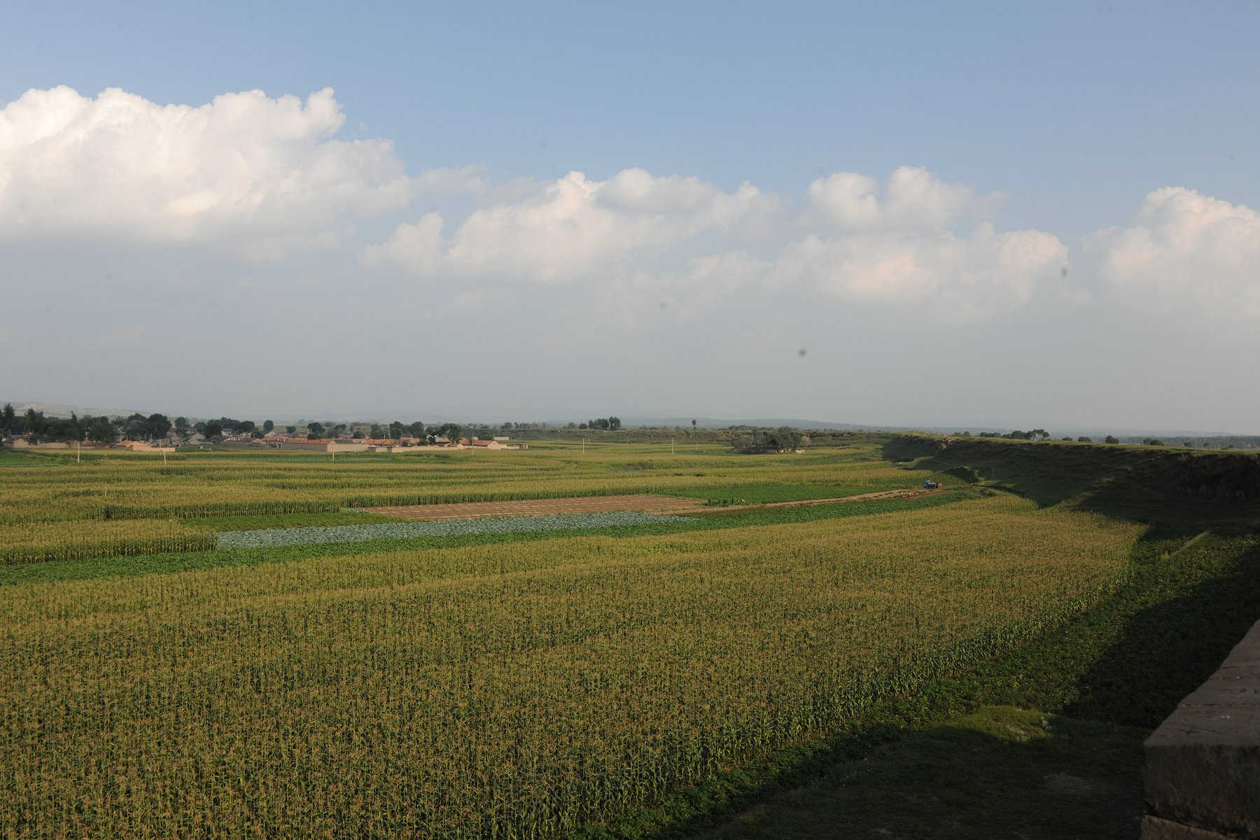 DSC_3189.JPG