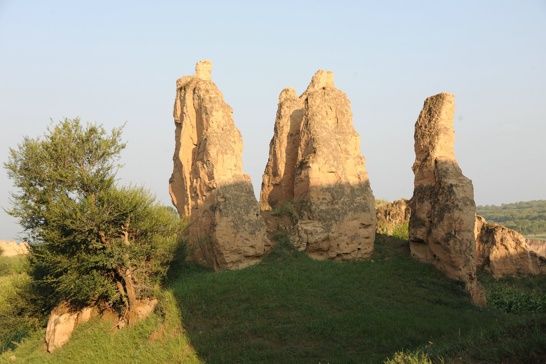 DSC_3242.JPG