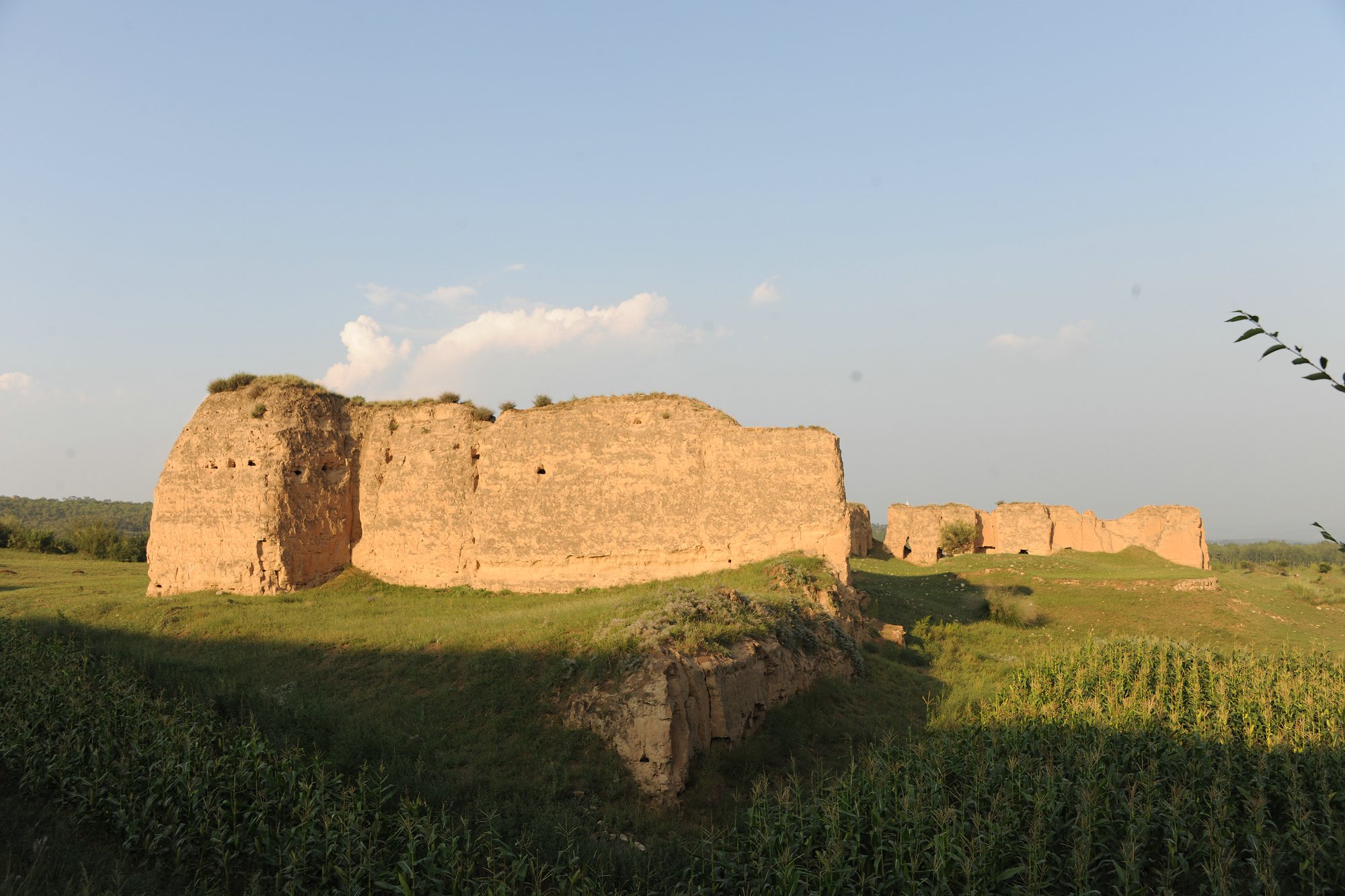 DSC_3255.JPG