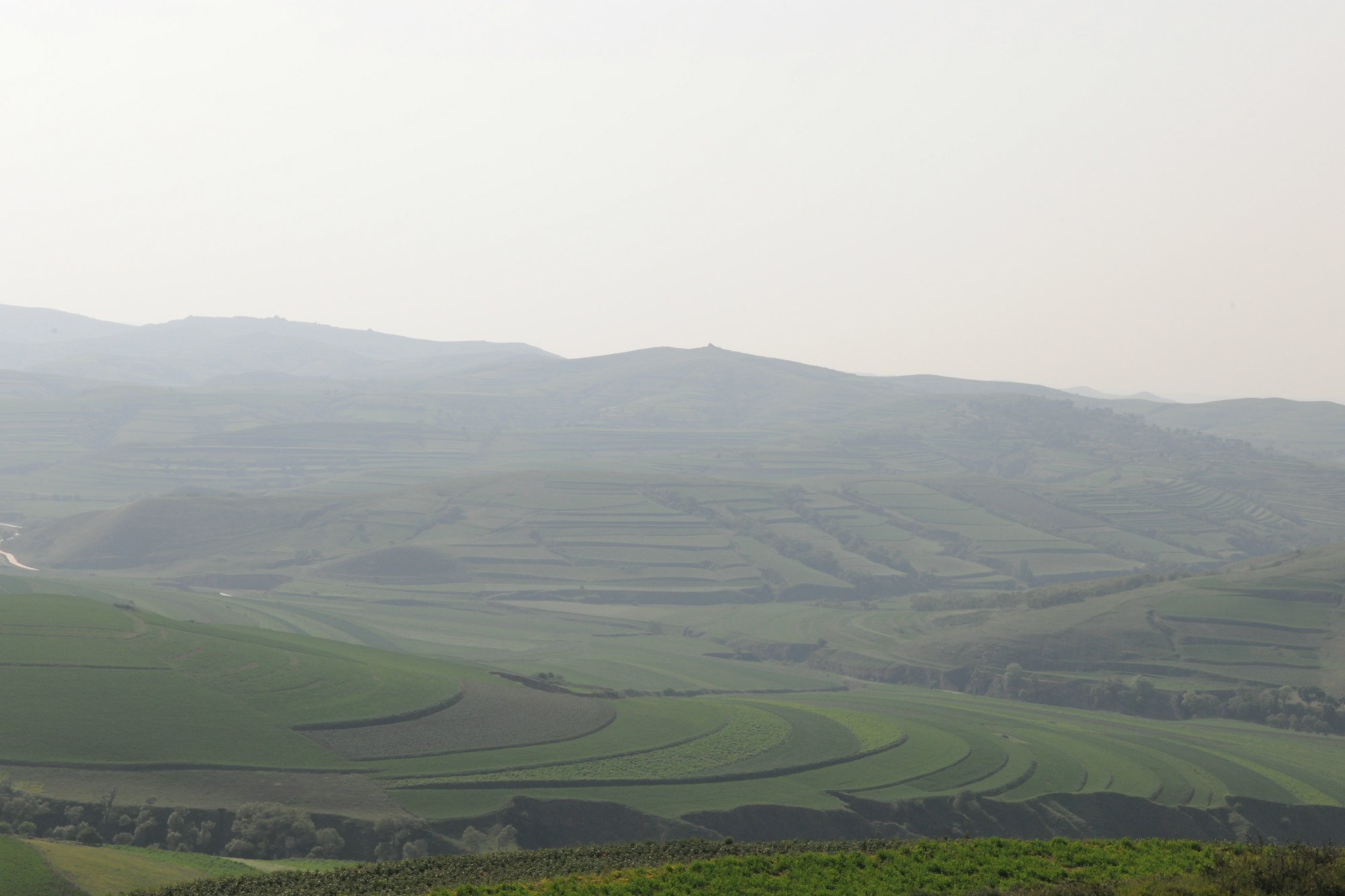 DSC_3295.JPG
