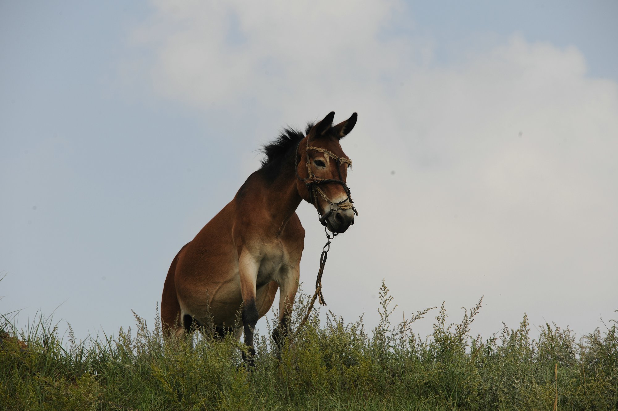 DSC_3384.JPG
