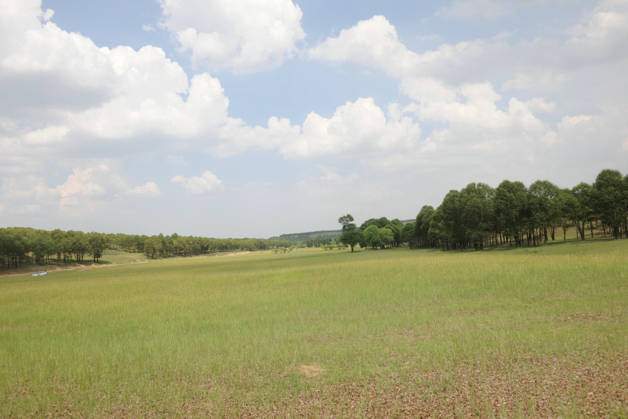 DSC_3722.JPG