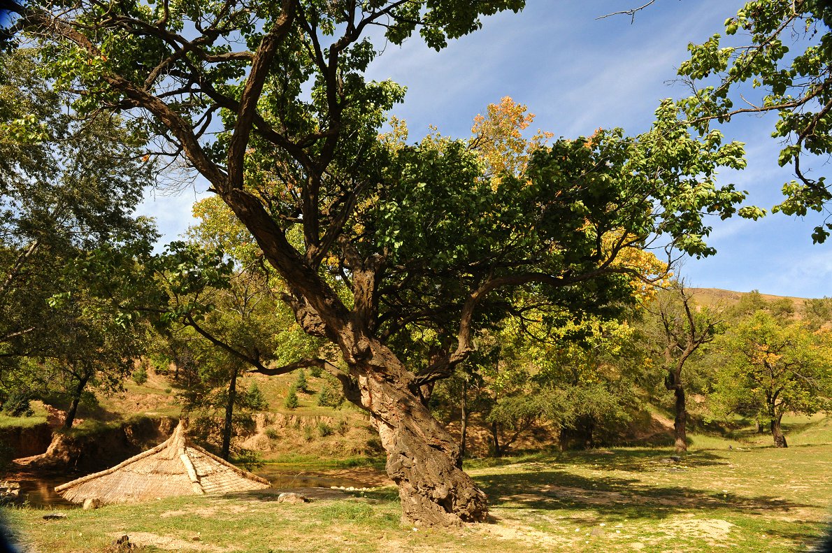 DSC_6705.jpg