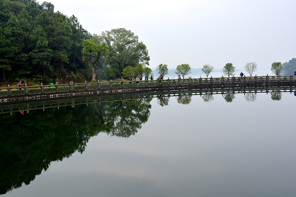 DSC_0156.JPG