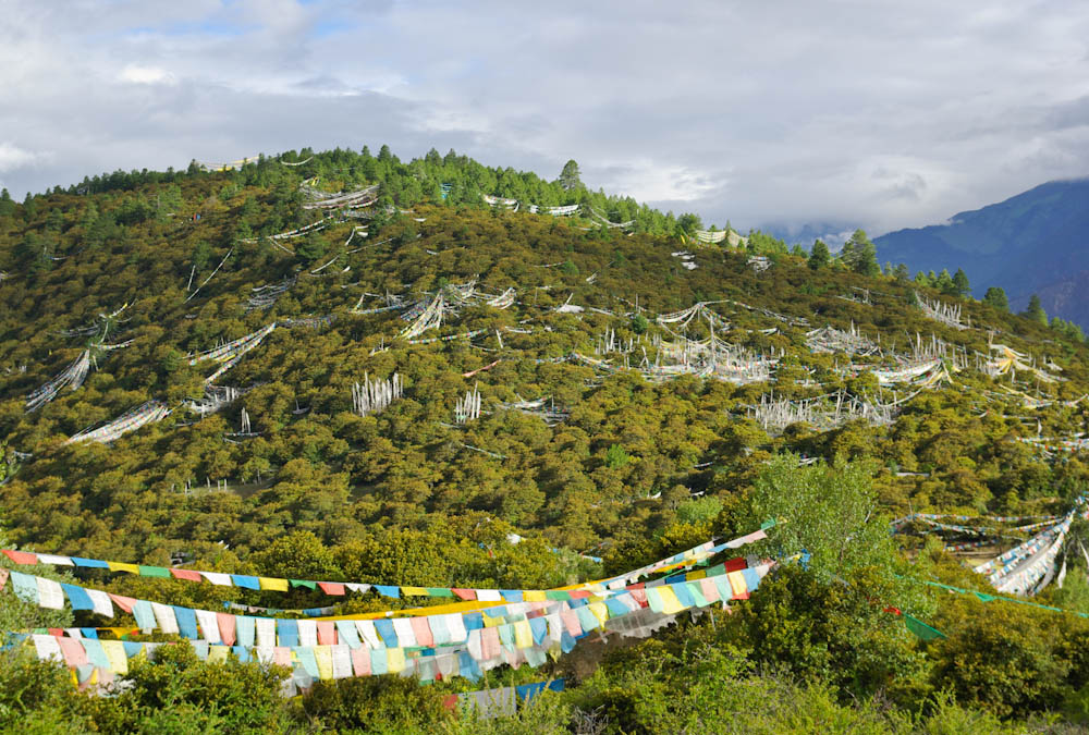 IMGP1576.jpg