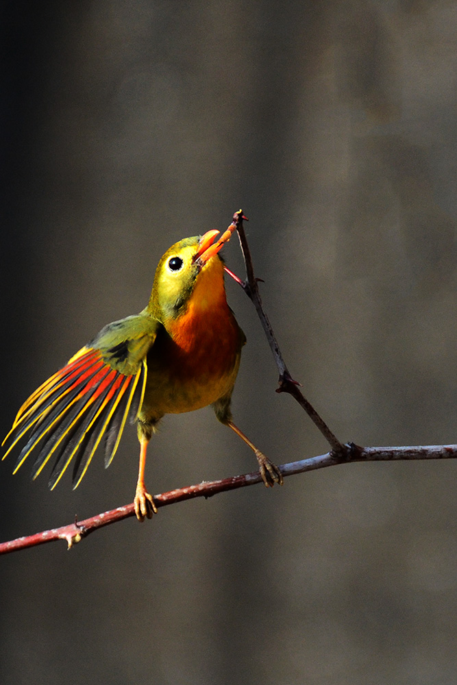 DSC_5088 副本.jpg