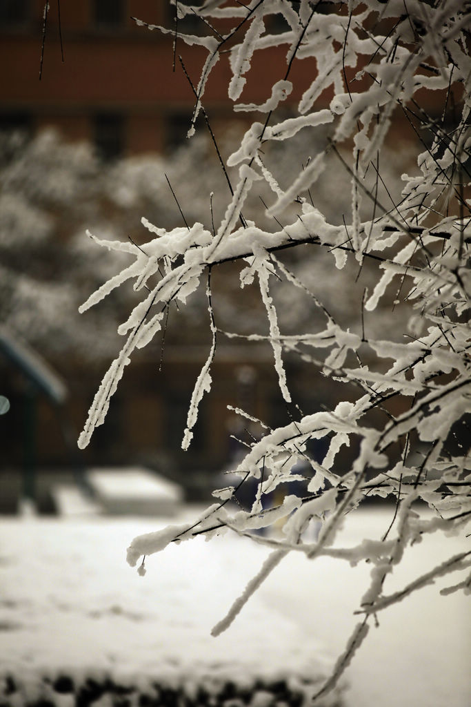 _MG_7608.JPG